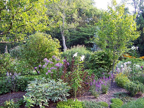Azaleas to Zinnias Landscaping