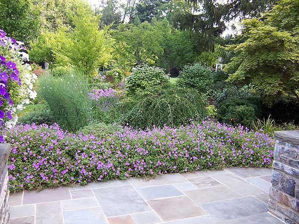 Azaleas to Zinnias Landscaping