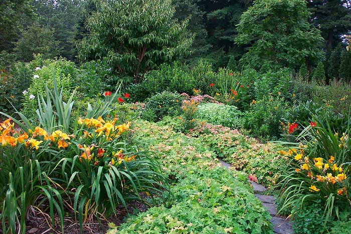Azaleas to Zinnias Landscaping