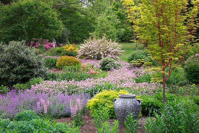Azaleas to Zinnias Landscaping