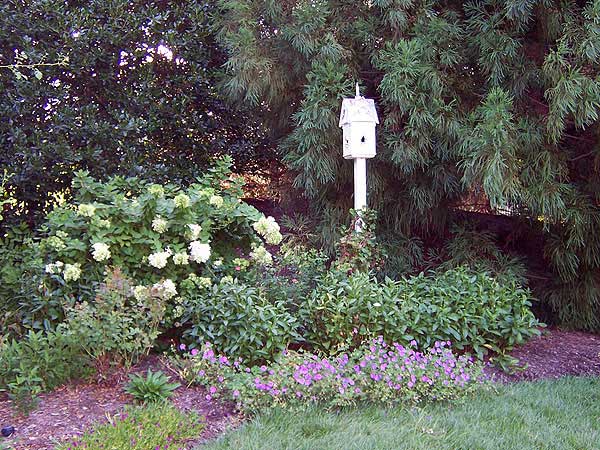 Azaleas to Zinnias Landscaping