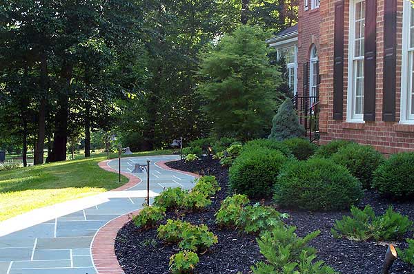 Azaleas to Zinnias Landscaping