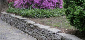 azaleas to zinnias baltimore Landscaping