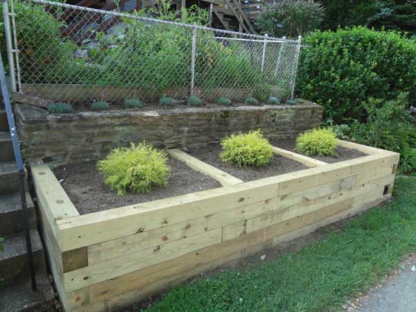 Azaleas to Zinnias Landscaping